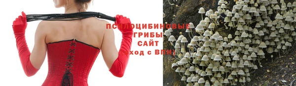 хмурый Гусиноозёрск