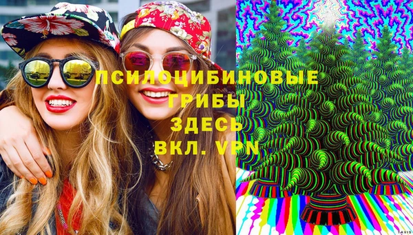 хмурый Гусиноозёрск