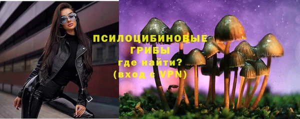 метамфетамин Гусев