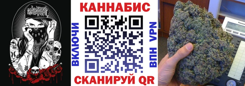 как найти Елизово Каннабис гибрид